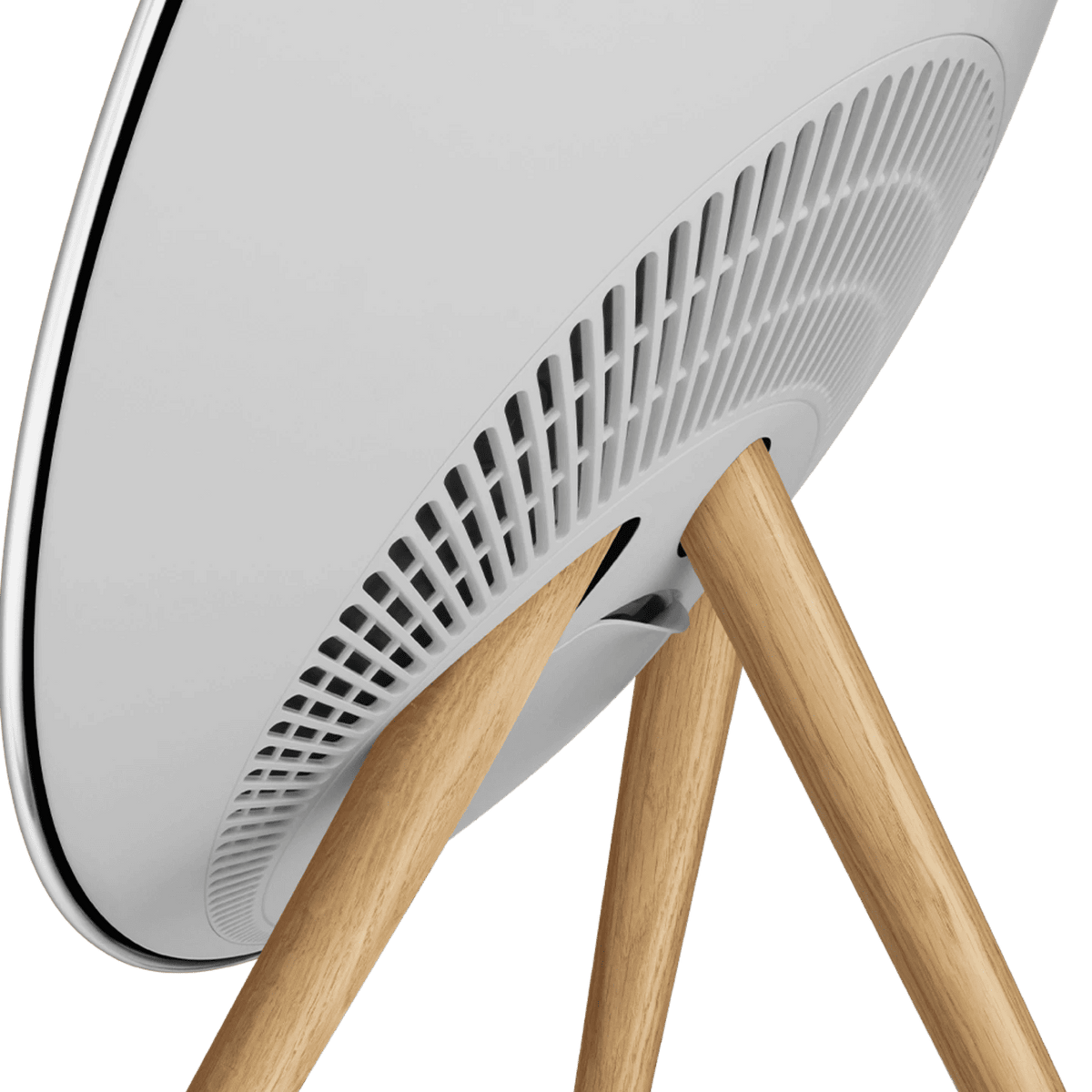 Bang & Olufsen Beosound A9 (5th Generation) - Natural Aluminium