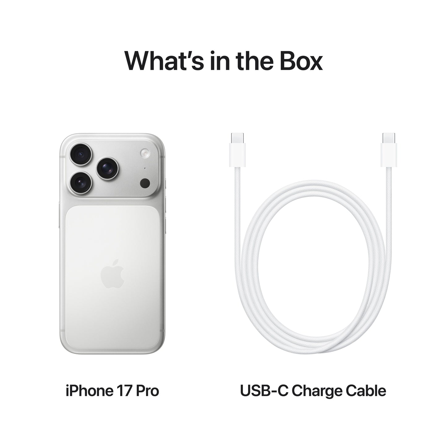 iPhone_17_Pro_Silver_PDP_Image_Position_8__en-AE