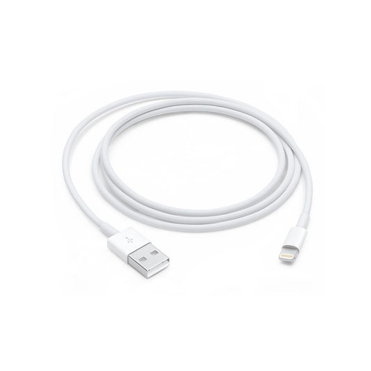Lightning to USB Cable (1 m)