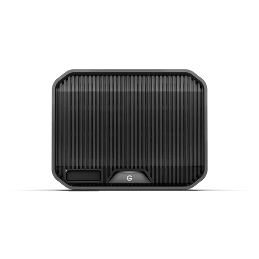 SanDisk Professional G-RAID PROJECT 2 - 24TB