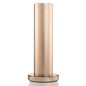 Scenti Slim Short Diffuser - Gold